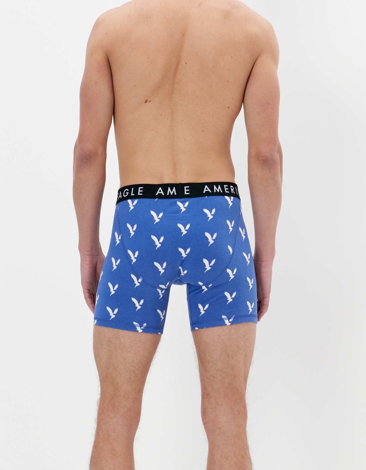 last * AE American Eagle boxer brief trunks AEO Isle Flamingos 3" Flex  Boxer Brief XXL / Blue *: Real Yahoo auction salling