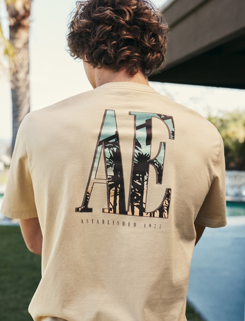 Buy AE Super Soft Logo Graphic T-Shirt online | American Eagle