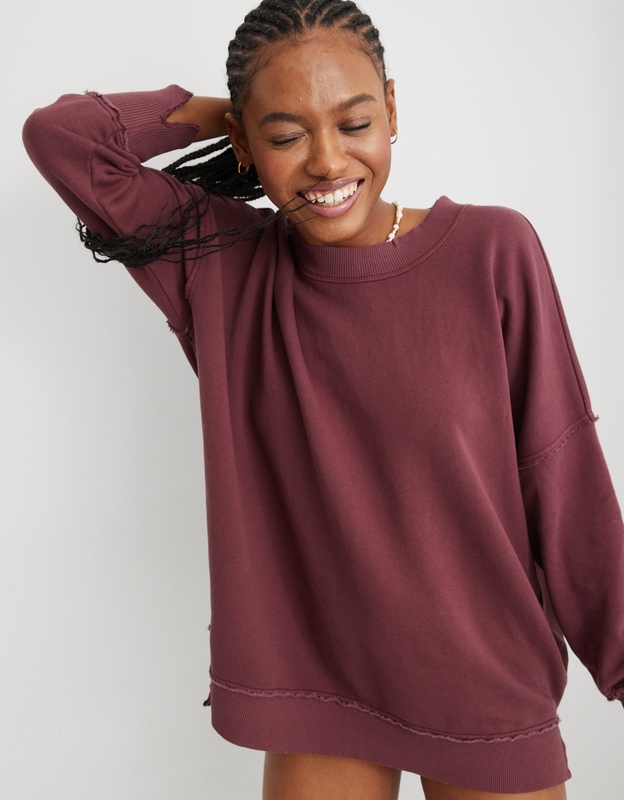 Aerie crew sales neck sweatshirt